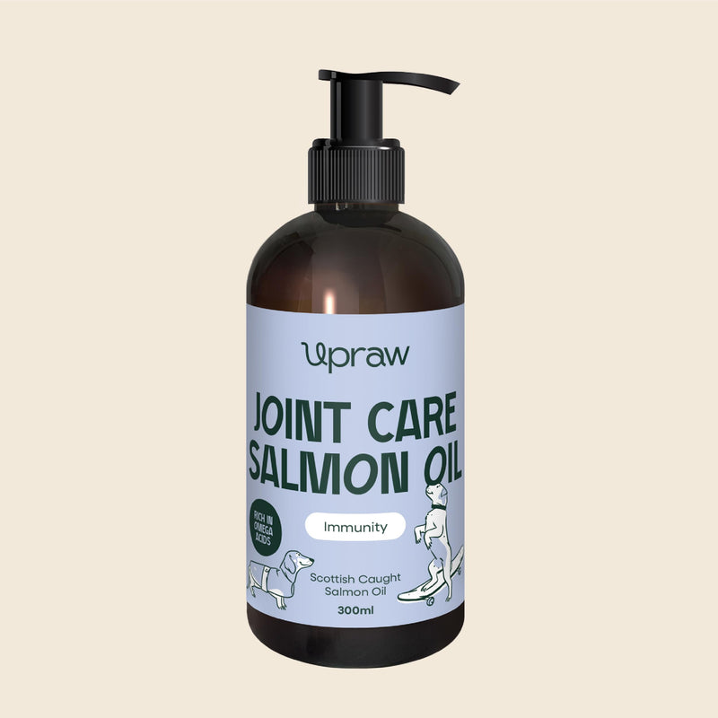 Joint Care Salmon Oil for Dogs 300ml, Scottish Salmon Oil with Glucosamine, Chondroitin, MSM & Turmeric, Omega 3 6 9 Supplement for Mobility, Skin & Coat Health, Hip & Joint Support for All Dog Sizes