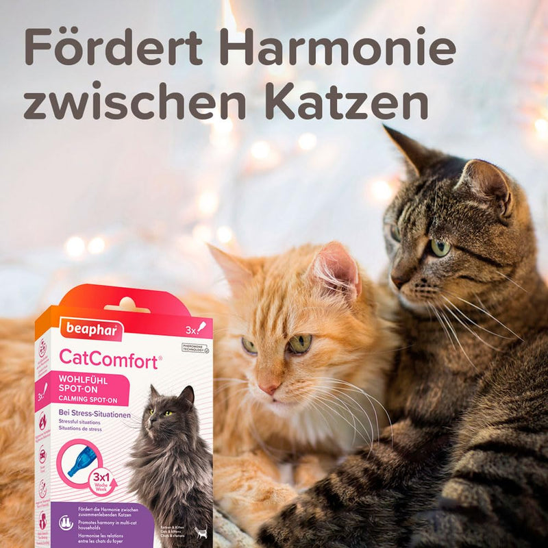 BEAPHAR - CatComfort® feel-good spot-on for cats and kittens - promotes harmony between cats living together - with pheromones - ideal for stress - also for outdoor cats - enough for 3x1 week - BeesActive Australia