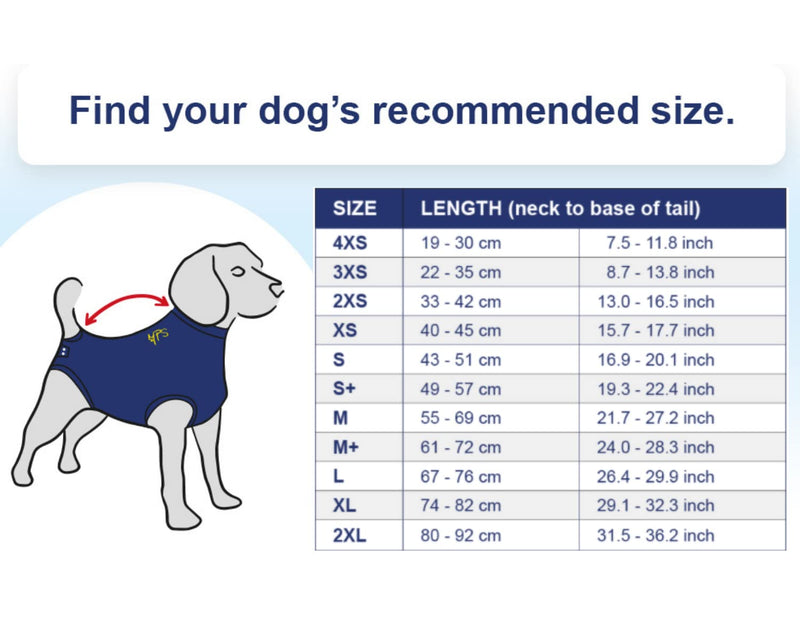 MPS Medical Pet Shirt Dog, Orange, L - BeesActive Australia