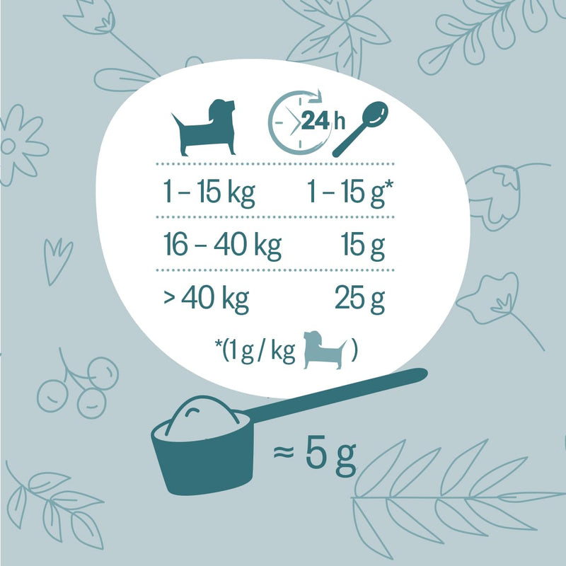 GRAU - the original - Hokamix Vitality Booster, pack of 1 (1 x 150 g), supplementary food for dogs