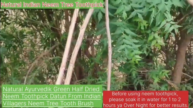 Traditional Ayurvedic Neem Datun Sticks, Natural Neem Twigs for Manual Tooth Cleaning, Wooden Chew Sticks, Traditional Toothbrush Alternative, 6-8 Inch, Pack of 10 with 1 Pcs Free