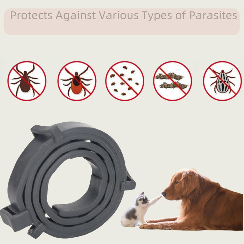 Flea collar for cats, flea collar for dogs, small, tick flea protection collar, flea tick collar for dogs and cats, waterproof and adjustable Nero L