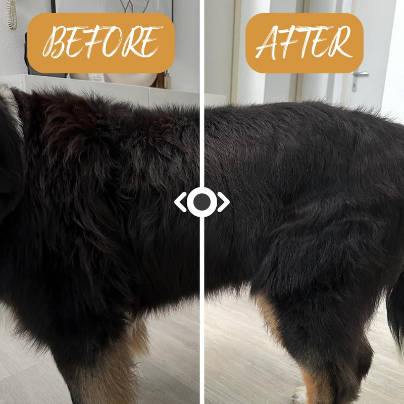 heybruno dog dry shampoo against odor | foam | without rinsing | Long hair & all lengths | Grooming care dermatologically tested - BeesActive Australia