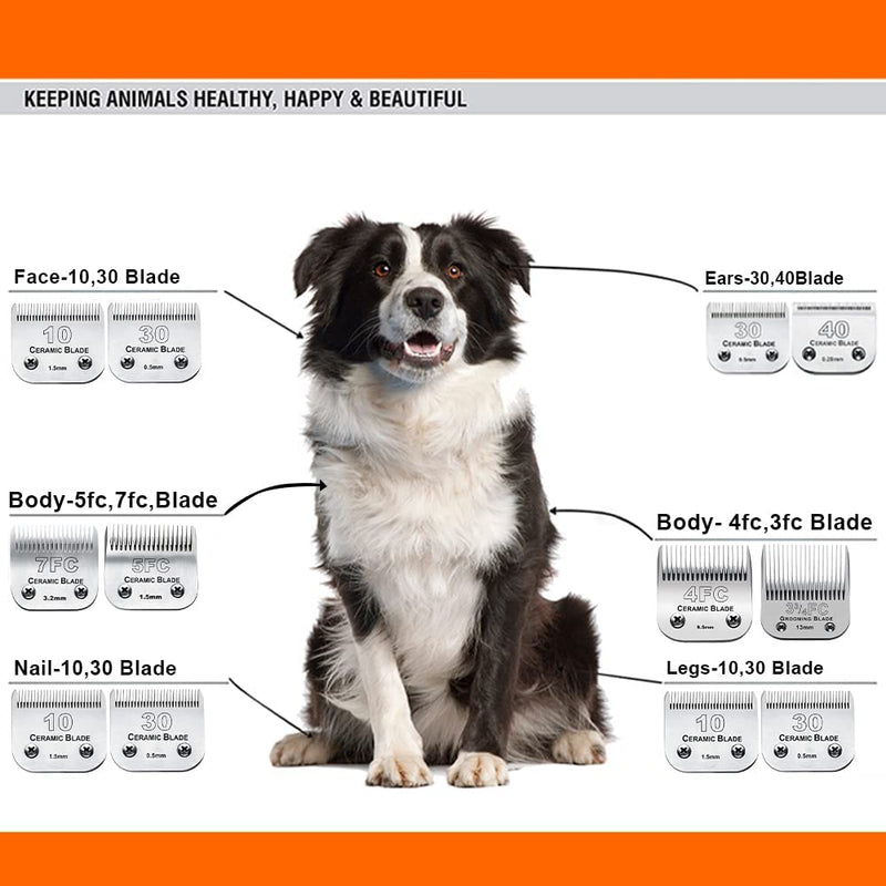 5FC Blade Dog Grooming Clipper Replacement Blades compatible with Andis Dog Clippers,Detachable Ceramic Blade & Stainless Steel Blade,Size-5 FC 1/4-Inch Cut Length (64122) 5fc:1/4''(6.3mm) - BeesActive Australia