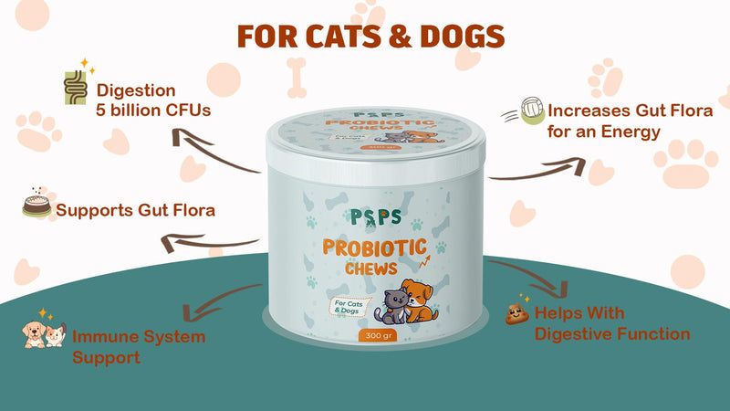 Dogs & Cats Probiotic Supplement with Bacillus Coagulans & Subtilis and Saccharomyces Boulardii – Supports Gut Health, Reduces Diarrhea, Bad Breath & Boosts Immunity - 0.66 lbs - BeesActive Australia