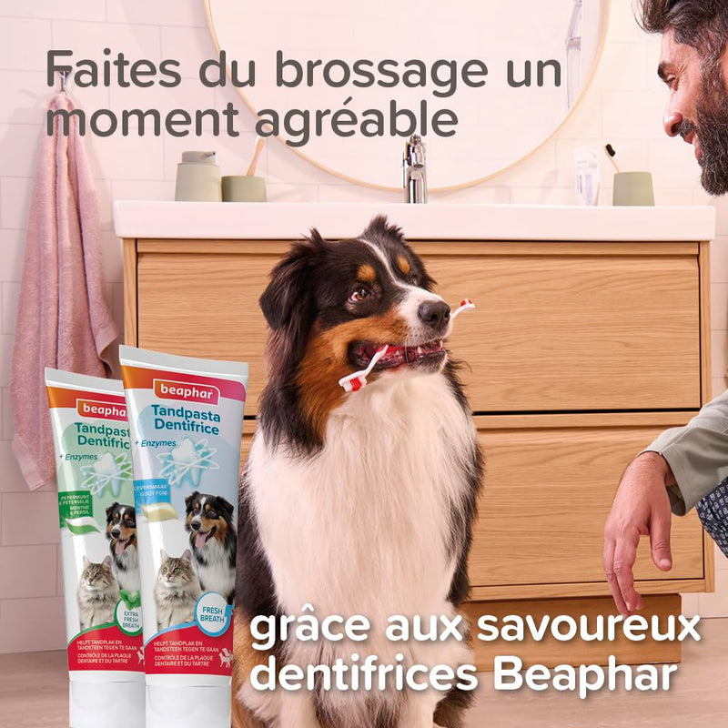 Beaphar Toothbrush Bamboo 1 piece - Double sided brush for dogs and cats