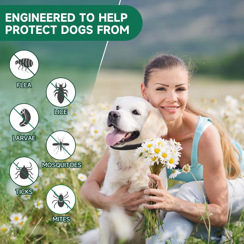 4 Pack Flea Collar for Dogs, Dog Flea Collar, Adjustable Flea and Tick Collar for Dogs, 8 Months Dog Flea and Tick Treatment, Waterproof Dog Flea and Tick Collar, Dog Flea and Tick Collar Black - BeesActive Australia