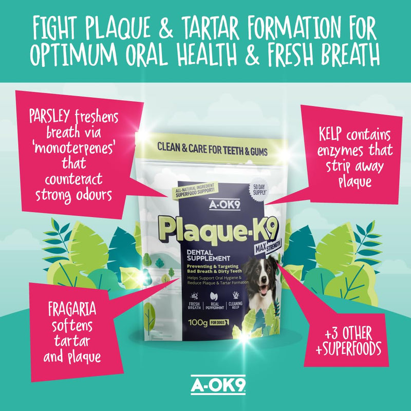 Plaque-K9 | Dental Care Supplement for Dogs | Removes Plaque, Bad Breath & Tartar | Support Oral Hygiene | Natural Ingredients & Superfoods | Mix with Dog or Puppy Food | Absolute Dogs 1 pouch