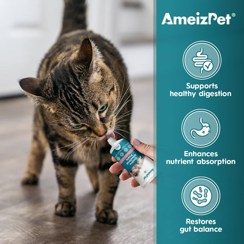 AmeizPet Gastro Intestinal Paste For Cats, Gastro Intestinal Support For Gut Health And Intestinal Flora, Digestive Support Supplement For Cats And Kittens, 3.53 Oz (100g)