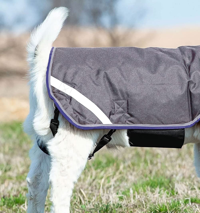 Horseware Ireland Breathable Waterproof Windproof Cold Weather Adjustable Goat Coat (100g Fill) Excalibur/Silver/Strong Blue/Black XX-Large - BeesActive Australia