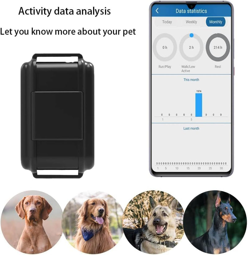 Winnes 4G GPS tracker collar for dogs 3000 mAh GPS tracker for dogs real-time tracking free APP/platform without subscription IP67 waterproof tracker dog with data statistics sound light alarm - BeesActive Australia