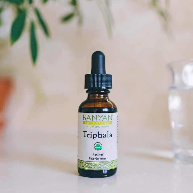 Banyan Botanicals Triphala Liquid Herbal Extract – Organic Triphala Extract with Amla, Haritaki & Bibhitaki – for Daily Detox, Regularity & Rejuvenation* – 1oz. – Non-GMO Sustainably Sourced Vegan - BeesActive Australia