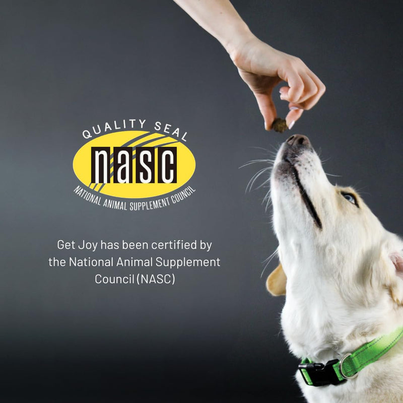 Get Joy Gut+ Probiotic Chews for Dogs, 90 Soft Chews, Chicken Flavor, Supports Digestive Health & Immunity, with Pre, Pro & Postbiotics, PhD Animal Nutritionist Formulated, Produced in USA Gut+ - PawsPlanet Australia