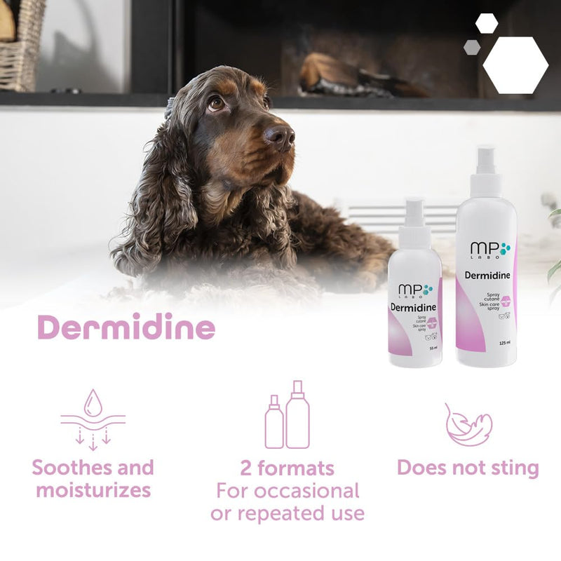 Dermidine antiseptique pour chien et chat - Spray de 60 ml