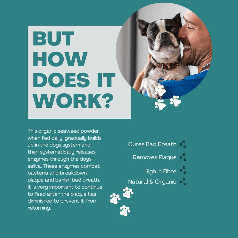 Plaque Off and Tartar Remover for Dogs 180g Dental Care for Healthy Teeth and Gums, Up to 6 Months Supply and Better than Water Additive - 100% Organic with No Chemicals - Made in the UK