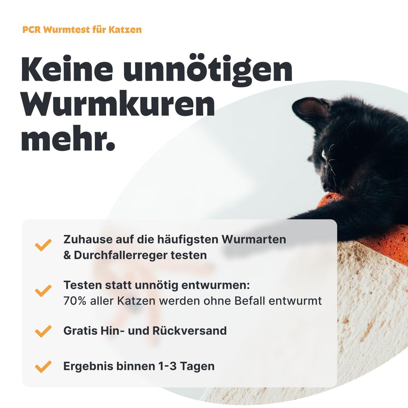 PEZZ ParaScreen PCR+ worm test for cats to test for 11 common worm species and parasites including Giardia | Laboratory findings including CT value | with free laboratory shipping (PCR+, 1 piece) PCR+ - BeesActive Australia