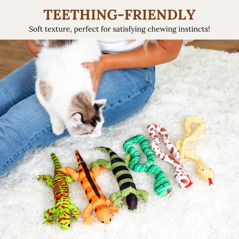 Cat Toys Catnip Toys for cats Cat Nip for Cats catnip toys for indoor cats Lizard Cat Toy Snake Cat Toy for Cats Interactive Cat Toy Cat Chew Toy Cat Chew Toys for indoor cats Kitty cat nip toys cat Bundle 10 - BeesActive Australia