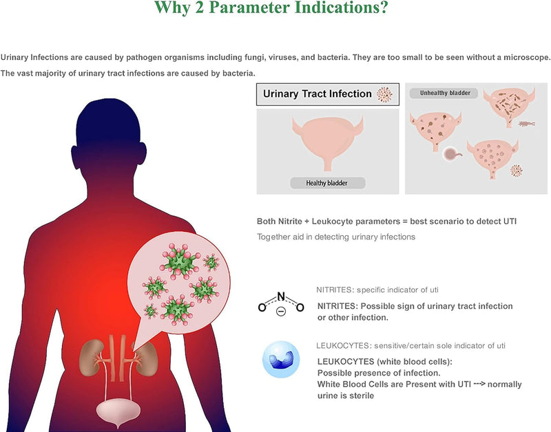 Easy@Home 20 Individual Pouches Urinary Tract Infection FSA Eligible Test Strips (UTI Test Strips) Monitor Bladder or Urinary Tract Issues by Testing Urine, 20 Tests/Box-FDA Cleared (UTI-20P) 20 Count (Pack of 1) - BeesActive Australia