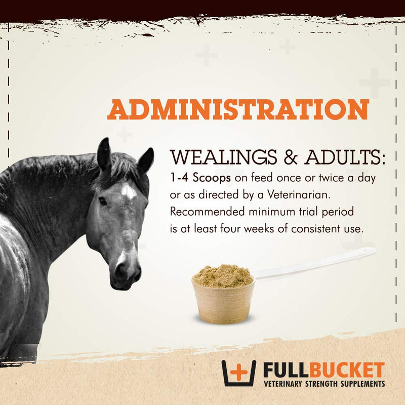 Equine Probiotic Granules with Saccharomyces boulardii for Daily Digestive Optimization; Concentrated Formula with 25 Billion CFUs - 30 Servings - BeesActive Australia