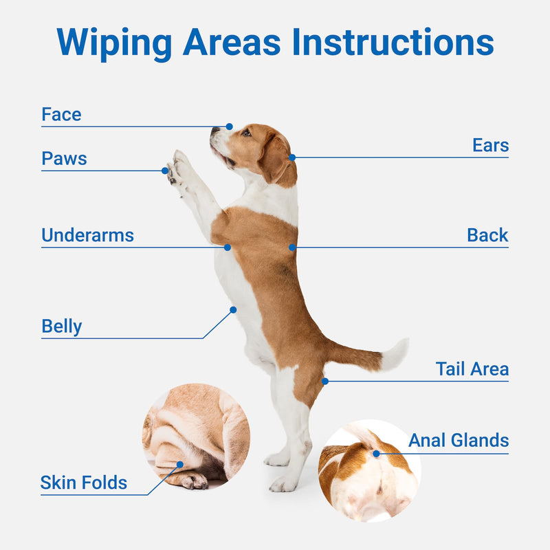 Pet Grooming Glove Wipes, Dog and Cat Cleaning Wipes for Fur, Paws, Butt, Puppy and Dog wet wipes, Hypoallergenic Deodorizing with Natural Sunshine Oat Extract, On-the-Go Freshness, Fast clean - BeesActive Australia