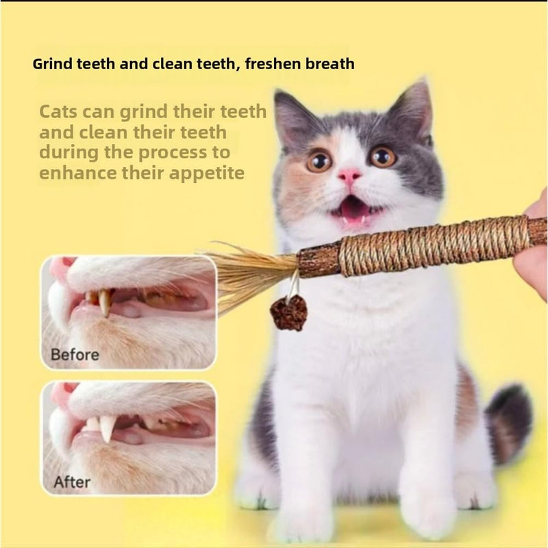 Vintage & Haven 3 Pcs Natural Silvervine Sticks Cat Toys, Catmint Silvervine Blend Sticks, Kittens Chew Toys for Teeth Cleaning, Matatabi Dental Care Cat Treat, Consumable Kitty Lick Toys (3 Pcs)