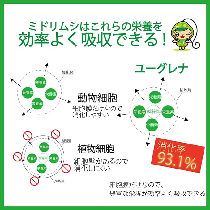 [Genuine product] Great sale on closeout items (best before date: end of March) Contains 90,000 mg of Euglena from Ishigaki Island Midochan's Ikiiki Euglena 90 tablets x 6 bags set Kumaizasa Bamboo powder Lactic acid bacteria supplement - BeesActive Australia