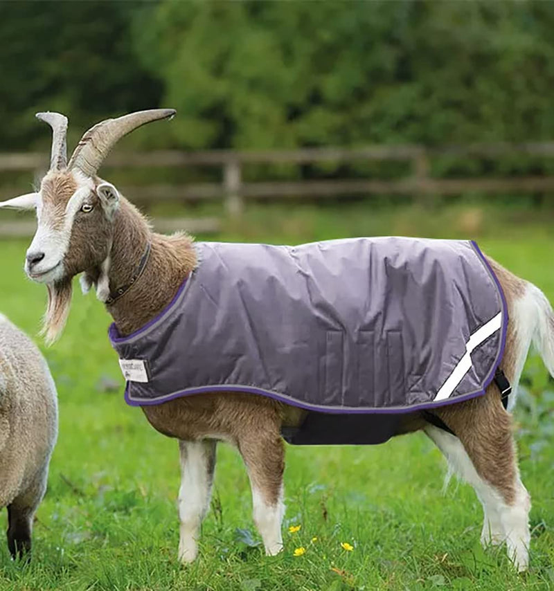 Horseware Ireland Breathable Waterproof Windproof Cold Weather Adjustable Goat Coat (100g Fill) Excalibur/Silver/Strong Blue/Black XX-Large - BeesActive Australia