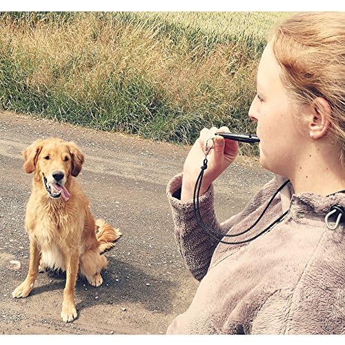 ACME The Dog Training Whistle Number 210.5 High Pitch, Single Note | Good Sound Quality, Weather-Proof Whistles | Designed and Made in The UK (Violet) - BeesActive Australia