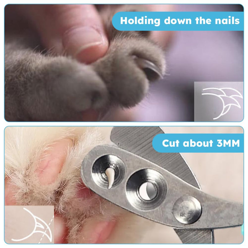 POHOVE Cat Claw Cutter, Claw Clipper for Cats with 2mm and 4mm Holes, for Small Dogs, Puppies, Cats with File (Blue) - BeesActive Australia