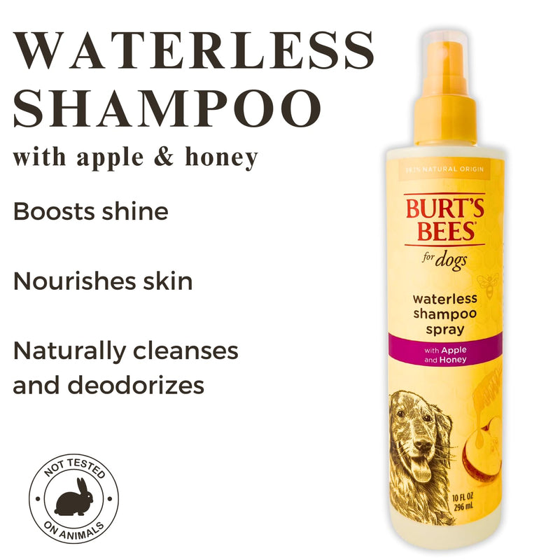 Burt's Bees for Pets Natural Waterless Dog Shampoo Spray with Apple & Honey, Dry Shampoo for Dogs, Sulfate & Paraben Free, pH Balanced, 10oz Dog Dry Shampoo, Bundle with NOAHIAN Dog Groom Bath Brush - BeesActive Australia