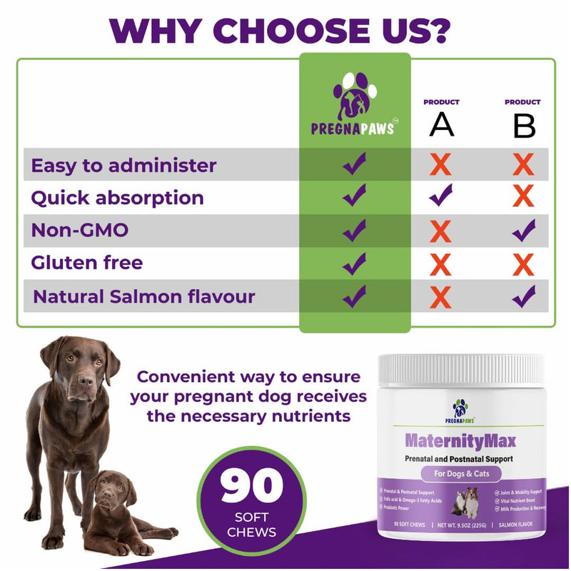 Prenatal Vitamins for Dogs & Cats – Pre & Postnatal Supplement with Probiotics, Glucosamine, MSM, CoQ10, & Essential Vitamins – Supports Pregnancy, Nursing & Recovery – 90 Soft Chews (Salmon Flavor)