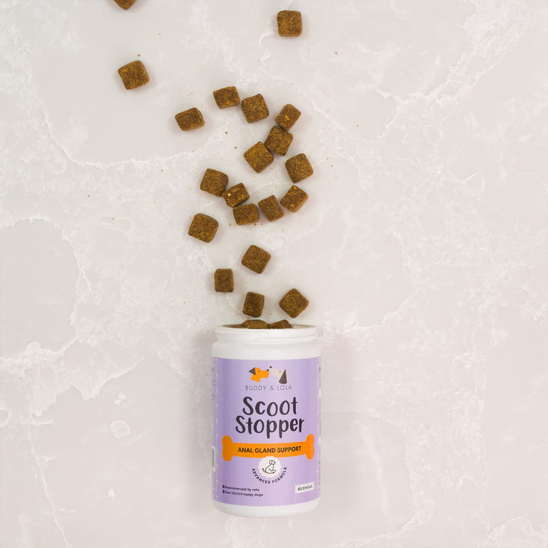 Buddy & Lola Scoot Stopper Anal Gland Chews For Dogs - High Fibre Chews To Stop Scooting and Licking Under Tail with Natural Fibre Ingredients For Dogs Dandelion Root, Pumpkin Powder and Beet Pulp 5060928060024