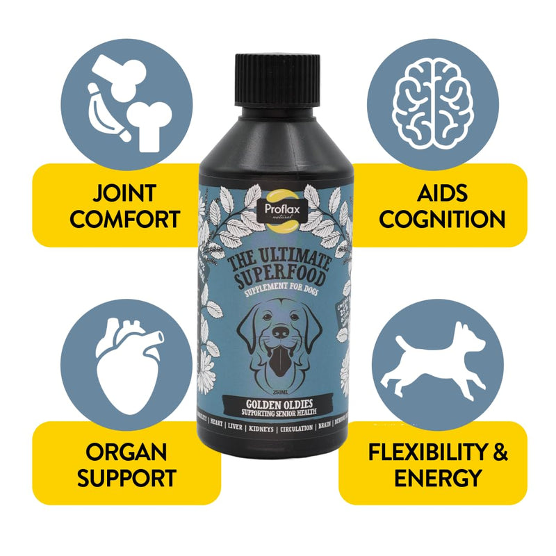 Proflax Golden Oldies Senior Support for Dogs – Mobility, Brain Function & Vitality for Ageing Dogs - 250ml