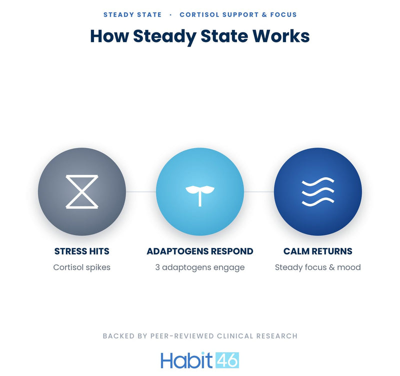 Steady State, Rhodiola L-Theanine Saffron, Cortisol Support, 60ct | Supports calm focus and a healthy stress response. Rhodiola 200mg, L-Theanine 200mg, Saffron 30mg. No stimulants, vegan.