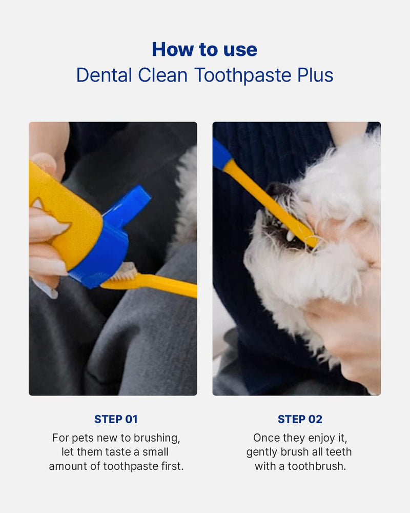 PETHROOM Pet Dental Clean Toothpaste Plus for Dogs & Cats – Pet Friendly Flavor, Enzymatic Toothpaste for Fresh Breath & Plaque Control, Gentle Daily Dental Care, Net Wt 2.1 oz Original