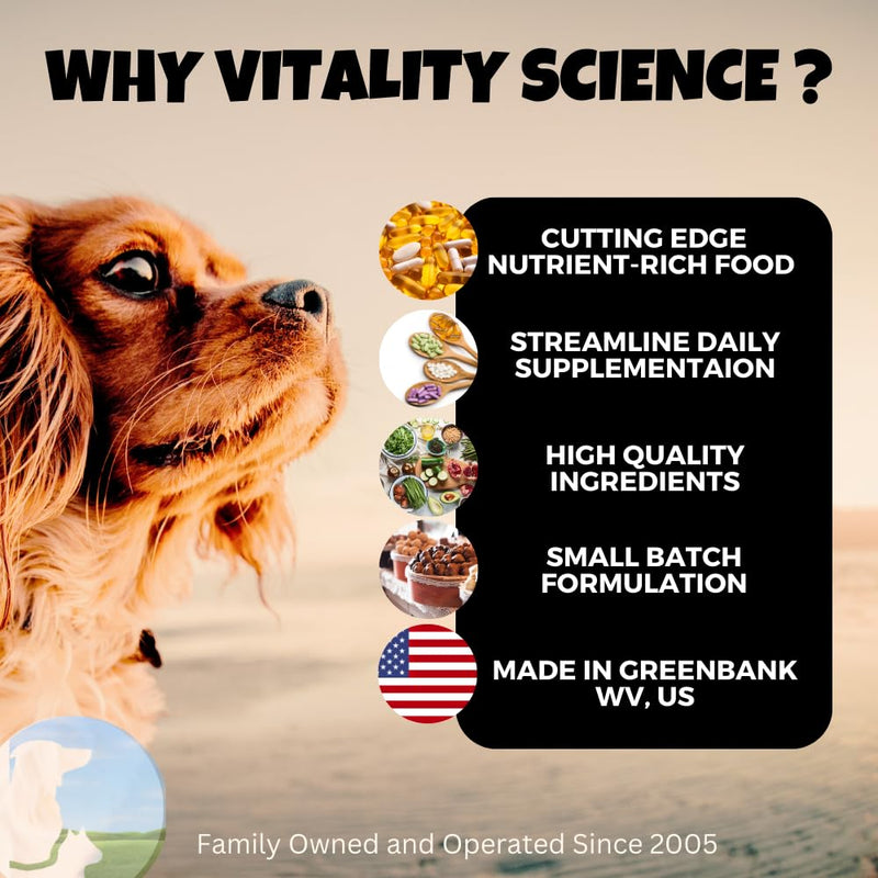 Feline Comfort for Cats | Maintains a Healthy Intestinal Tract and Proper Gut Flora | Restores Gastric Stability | for Vomiting and Diarrhea | 100% Additive Free (Seafood, 98g) Seafood - BeesActive Australia