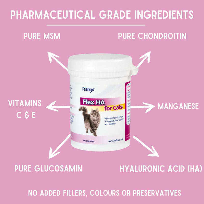Flex HA for Cats | Max Strength combination of Glucosamine, MSM, Green Lipped Mussel & Hyaluronic Acid, with added antioxidants designed to soothe stiff joints, aid mobility - 60 capsules