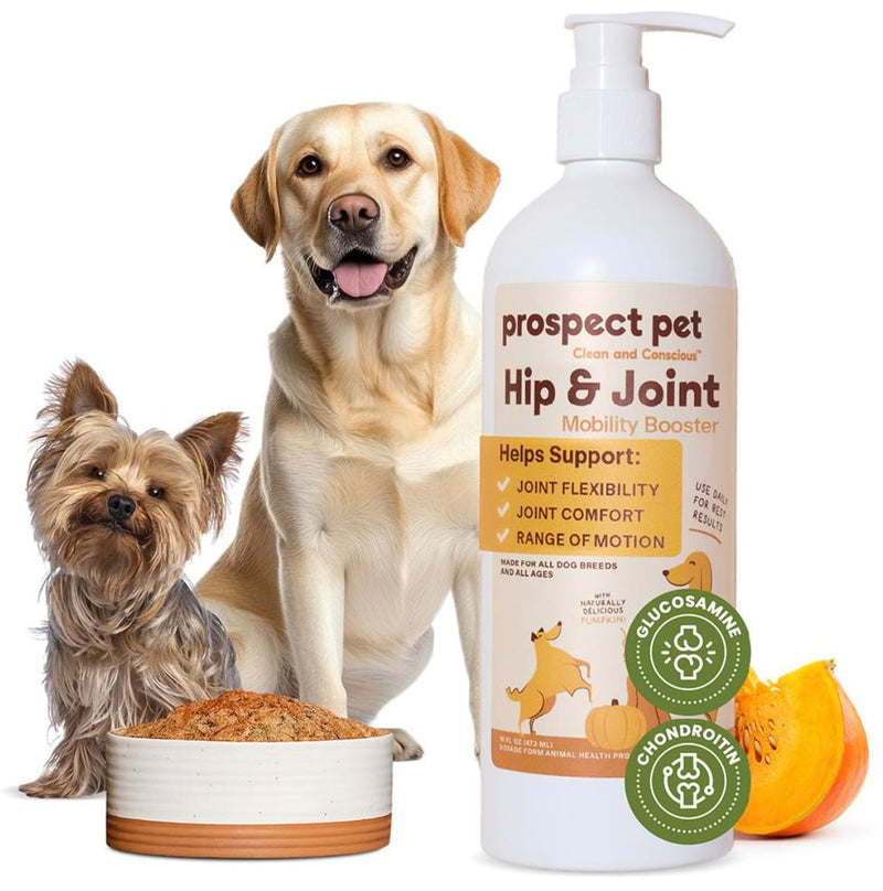 Hip and Joint Supplement for Dogs - Glucosamine with Plant-Based Chondroitin, MSM & Pumpkin - Advanced Joint Relief Dog Supplements for Large & Small Breeds - USA Made 16OZ