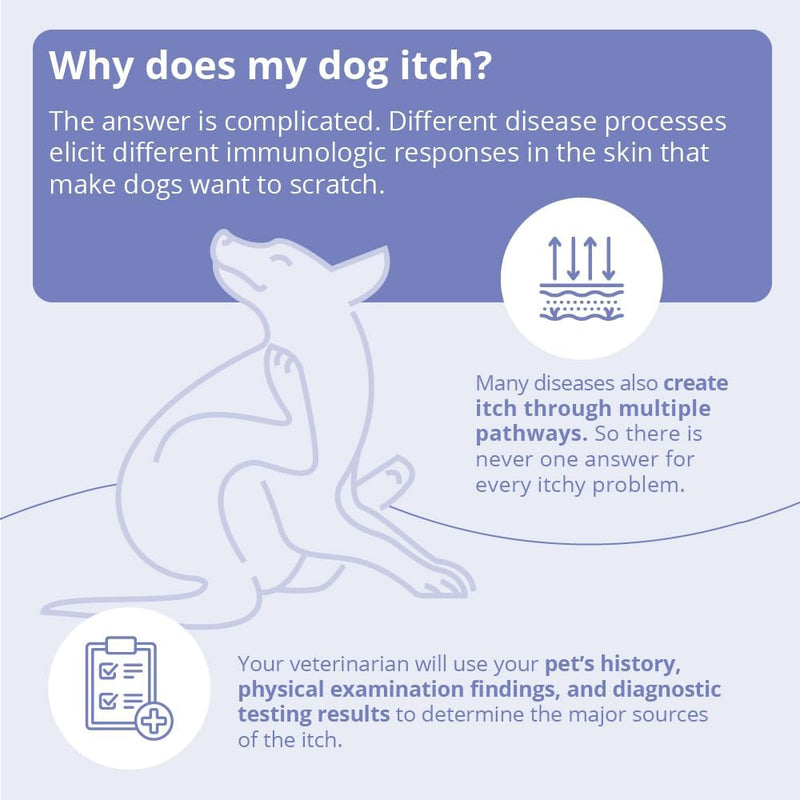 Dechra Miconahex +Triz Spray, 8-Ounce