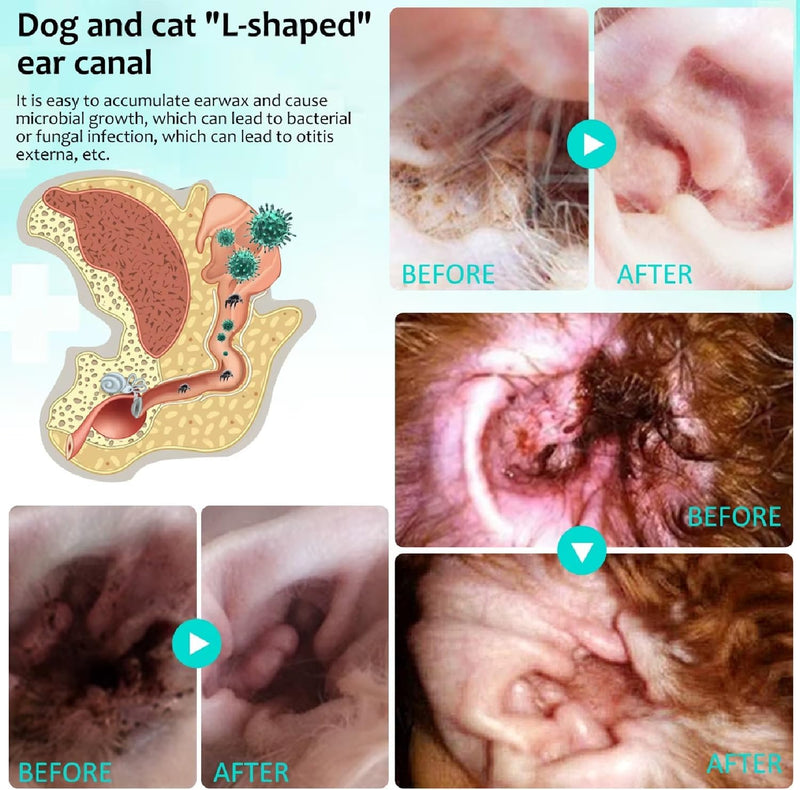 Dog Ear Cleaner, Dog Ear Infection Treatment, Antibiotic Dog Ear Drops for Ear Infection, Ear Mite Treatment for Dog & Cat, Provides Relief for Yeast Infection, Reduces Ear Mites And Debris, 22ml 1 Pack