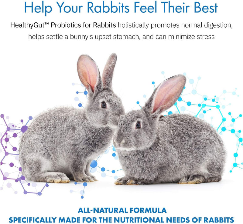 HealthyGut Probiotics for Rabbits Dietary Supplement, All-Natural Digestive System Formula (120 Servings) - BeesActive Australia