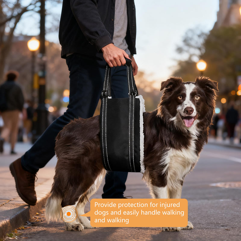 Dog Carrying Aid, Adjustable Walking Aid and Rehabilitation Carry Strap for Various Sizes, Safety Support for Disabled, Injured or Older Dogs, L