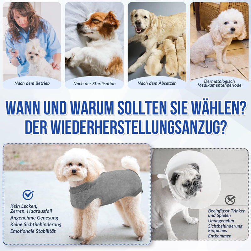 SlowTon Dog Surgery Recovery Suit - Puppy Suit for Cats After Surgery, Cone E Collar Alternative for Female Dogs, Surgical Castration Suit for Abdominal Wounds Skin Diseases M Grey - BeesActive Australia