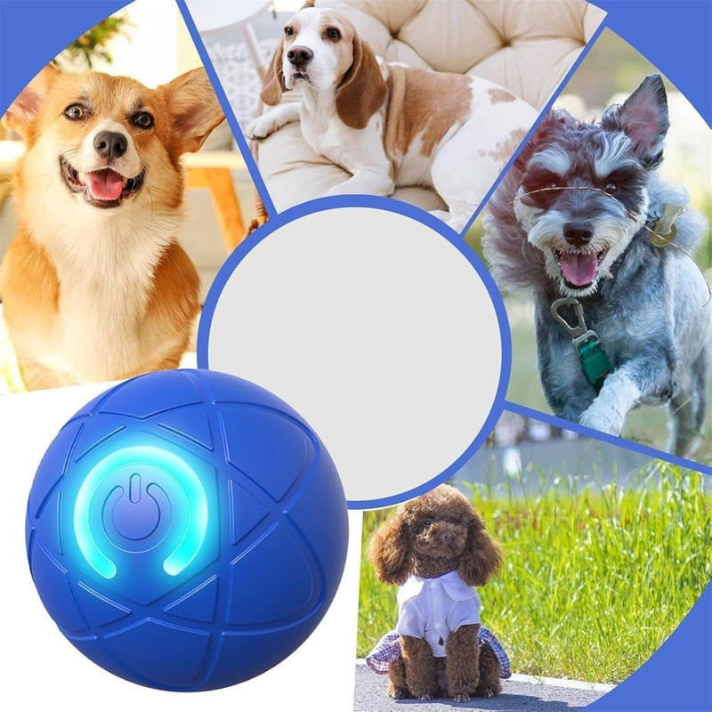 Shake Ball Toy for Dogs, Shake Ball Dog Toy, 2025 New Shaking Dog Ball Toy, Automatic Shake Ball Dog Toy for Small, Medium, and Large Dogs (Orange+Blue) Orange+Blue - BeesActive Australia