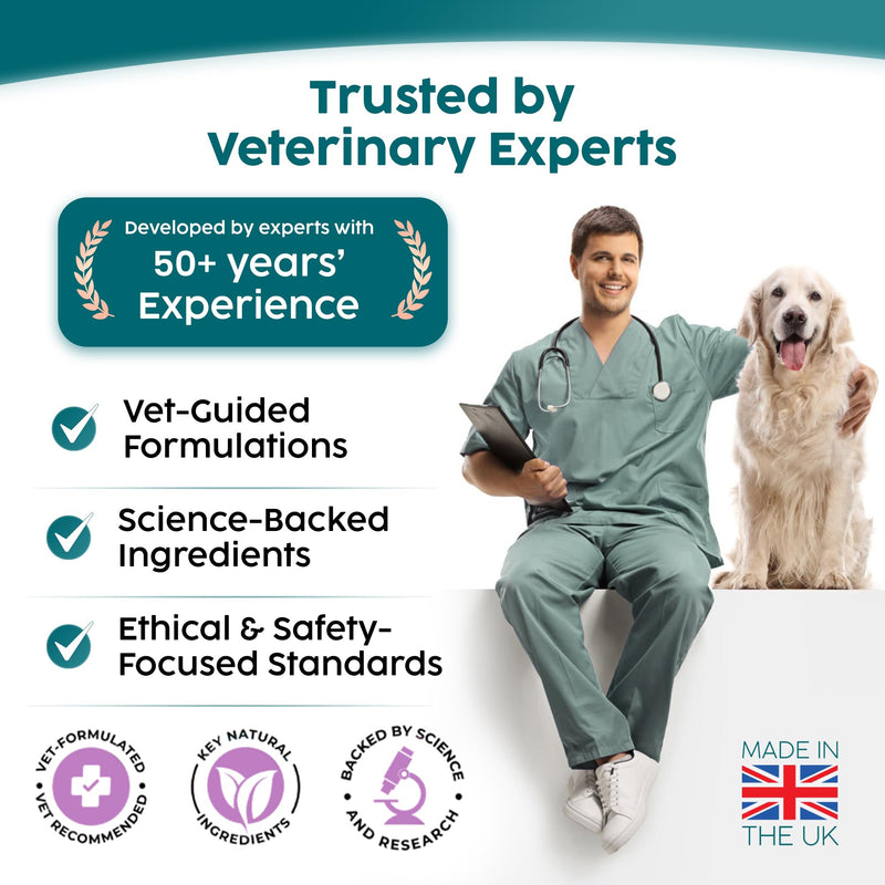 Dog Electrolytes, Rehydration & Essential Salt Replenishment for Dogs After Diarrhea, Gut Recovery – Appetite Stimulant, Fast & Effective Hydration, 60g - 60 Servings Replenishing Salts