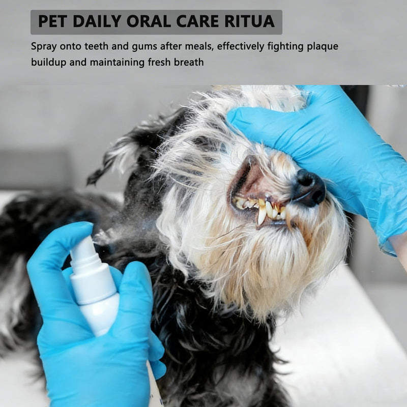 Bee Propolis Spray for Dogs & Cats, Oral Care Spray to Soothe Gums & Freshen Breath, Plant-Based Formula with Calendula & Aloe Vera, 3.4 fl oz for Daily Dental Health Support