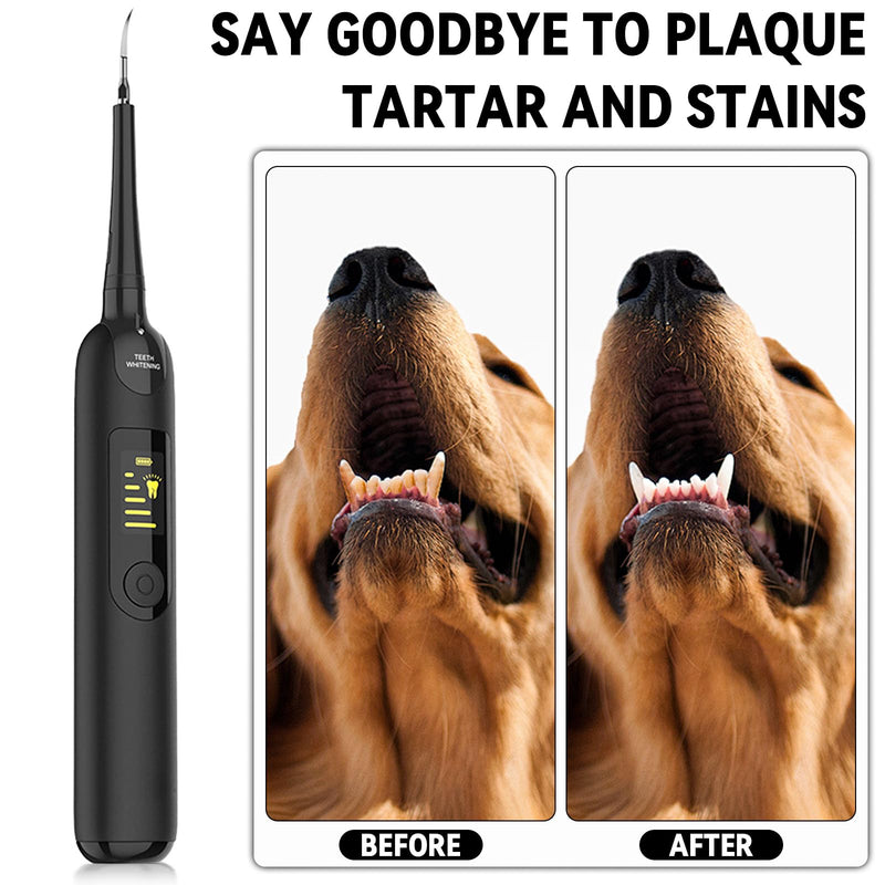 JOLOVE Dog Tooth Cleaning Kit, Pet Tooth Cleaning Kit with LED Light, Electric Dog Teeth Cleaning Tools 5 Cleaning Intensities, 2 Repalceable Heads For Removal of Food Residue