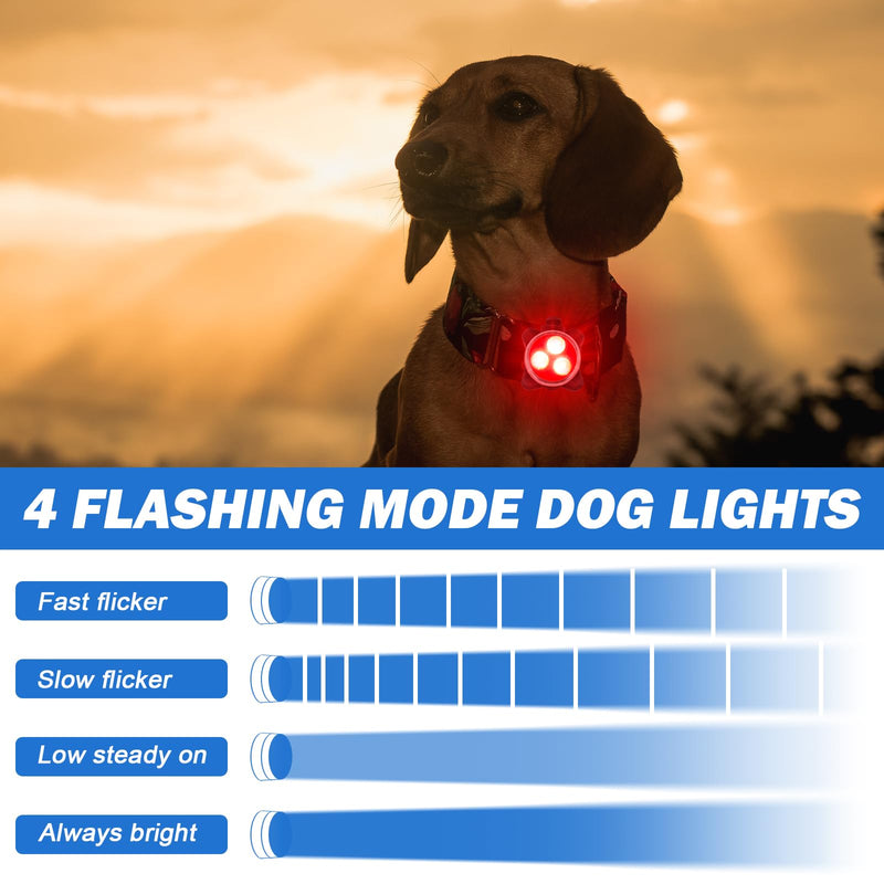 Sporgo Pack of 4 safety pet lights, LED flashing light for dogs, cats, USB rechargeable safety light, LED light pendant dog, waterproof pet lights with 4 flashing modes 2 - BeesActive Australia