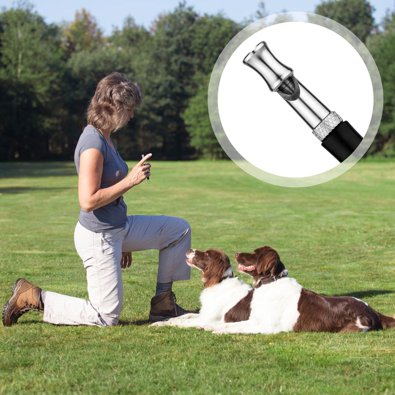 2 Pack Dog Whistles with Lanyard, Dog Training Whistle Adjustable Ultrasonic Dog Silent Whistle Recall Professional Dog Training Whistle for Dogs Training Stop Barking - BeesActive Australia