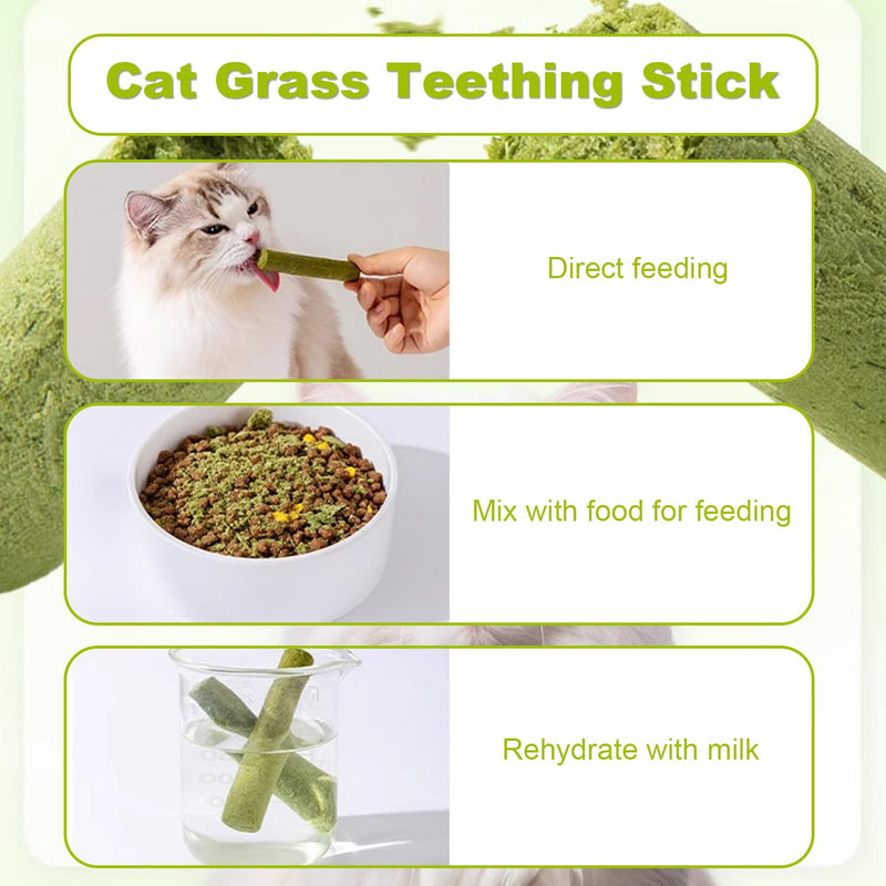 Cat Grass Teething Stick Grass for Indoor Cats, Dental Treats Cat Chew Sticks Cats Teeth Cleaning Treats Natural Grass Catnip Stick Catnip Teething Toy Dental Sticks for Hairball Removal (12 Pcs) 12 Pcs